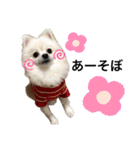 みほぽんさん家の家族1（個別スタンプ：10）