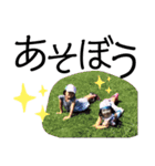 野尻さんスタンプ2（個別スタンプ：13）