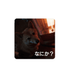 ナナ 3（個別スタンプ：4）