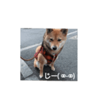 ナナ 3（個別スタンプ：5）