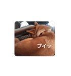 ナナ 3（個別スタンプ：8）