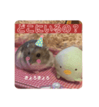 気まぐれねねこのスタンプ♡（個別スタンプ：6）