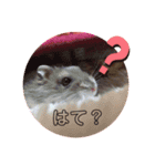 気まぐれねねこのスタンプ♡（個別スタンプ：9）