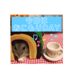 気まぐれねねこのスタンプ♡（個別スタンプ：10）