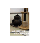 お茶を楽しく（個別スタンプ：6）