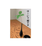 お茶を楽しく（個別スタンプ：7）