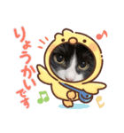 ハチワレ猫パウ君（個別スタンプ：3）