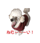 しろきけもの（個別スタンプ：9）