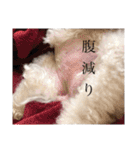 しろきけもの（個別スタンプ：14）