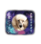 しろきけもの（個別スタンプ：15）