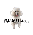 しろきけもの（個別スタンプ：18）