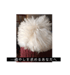 しろきけもの（個別スタンプ：25）