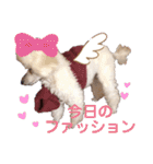しろきけもの（個別スタンプ：26）