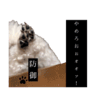 しろきけもの（個別スタンプ：30）
