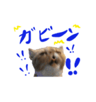 ブリタコブラザーズ（個別スタンプ：32）