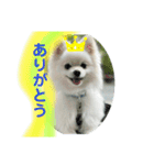 ひかるのあいさつ（個別スタンプ：2）