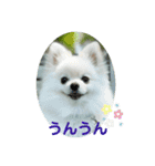 ひかるのあいさつ（個別スタンプ：3）