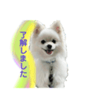 ひかるのあいさつ（個別スタンプ：6）