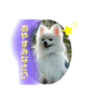 ひかるのあいさつ（個別スタンプ：10）