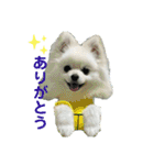 ひかるのあいさつ（個別スタンプ：11）