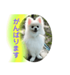 ひかるのあいさつ（個別スタンプ：14）