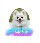 ひかるのあいさつ（個別スタンプ：15）