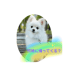 ひかるのあいさつ（個別スタンプ：17）