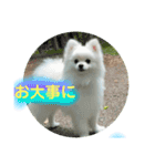 ひかるのあいさつ（個別スタンプ：20）