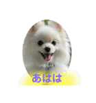 ひかるのあいさつ（個別スタンプ：23）