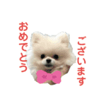 ひかるのあいさつ（個別スタンプ：24）