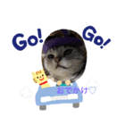 ねこ よく使う日常会話（個別スタンプ：3）