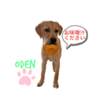 ラブラドールおでん②（個別スタンプ：1）