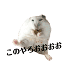 もぐちゃんの日常（個別スタンプ：5）