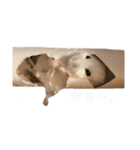 もぐちゃんの日常（個別スタンプ：6）