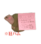もぐちゃんの日常（個別スタンプ：13）