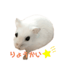もぐちゃんの日常（個別スタンプ：20）