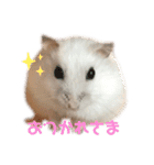 もぐちゃんの日常（個別スタンプ：23）