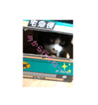 プリンちゃん3（個別スタンプ：3）
