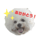 あびびび ver.2（個別スタンプ：1）