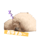あびびび ver.2（個別スタンプ：5）