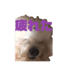 あびびび ver.2（個別スタンプ：11）