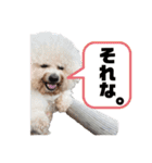 あびびび ver.2（個別スタンプ：12）