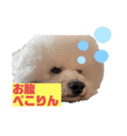 あびびび ver.2（個別スタンプ：18）