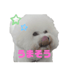 あびびび ver.2（個別スタンプ：19）