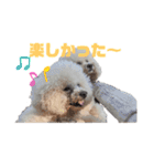 あびびび ver.2（個別スタンプ：24）
