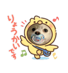 白ポメ蒼空のいる日常用語♬❶（個別スタンプ：14）