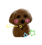 マルプー茶々丸3（個別スタンプ：3）