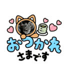 真っ黒ポメラニアンの空太✱時々ルイとベル（個別スタンプ：23）