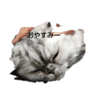 momooooooooo（個別スタンプ：8）