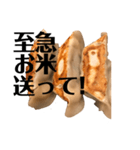 餃子好きの人限定の美味しい餃子スタンプ♡（個別スタンプ：2）